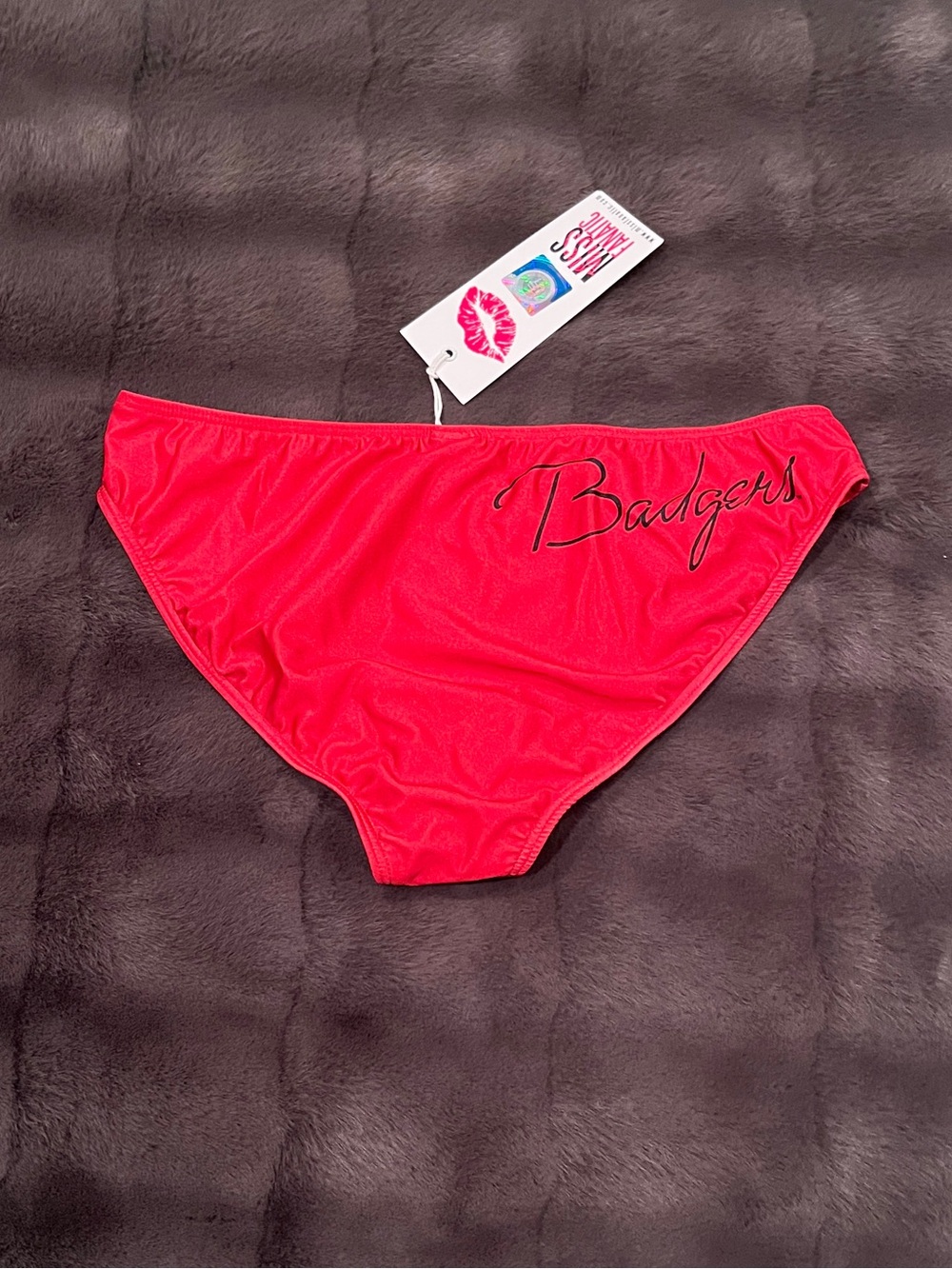NCAA University of Wisconsin Badgers Bikini Bottoms (Large)